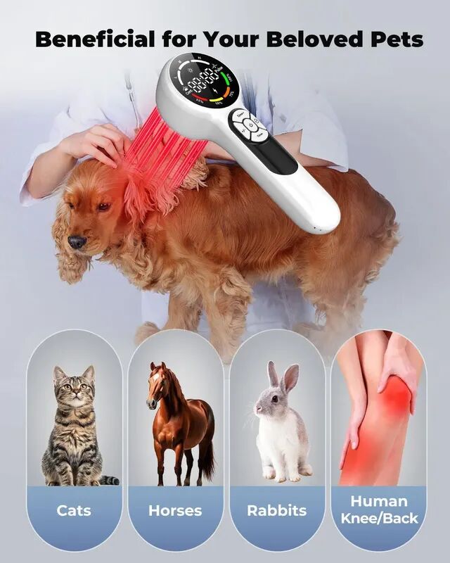 WhatsApp Image 2025-08-22 at 11.32.41.jpeg